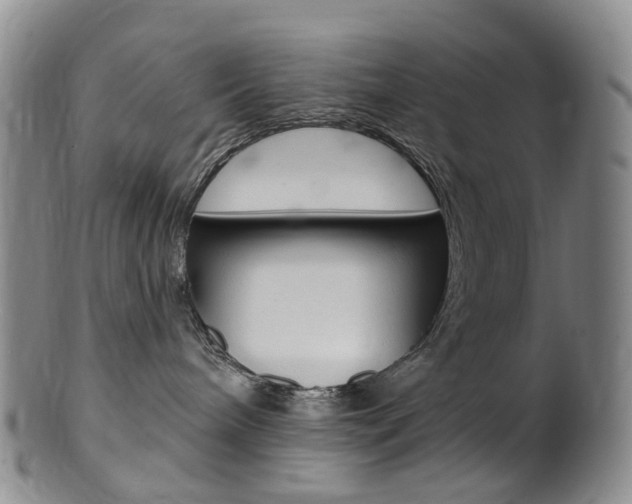 X0000101650240200807100947