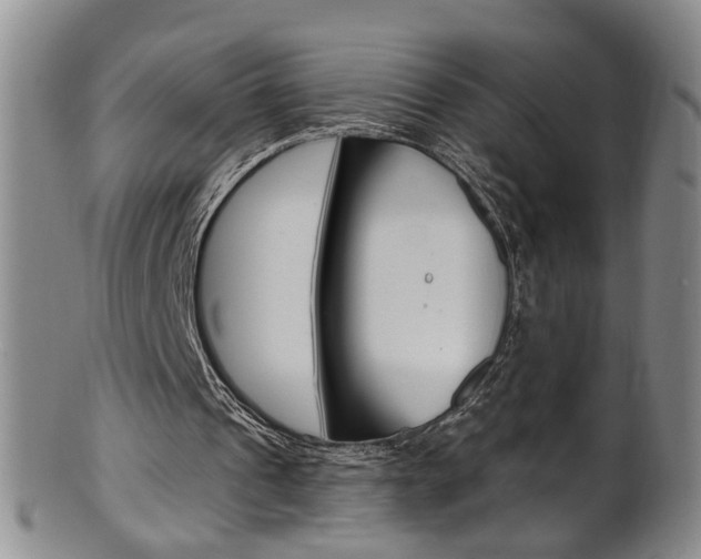 X0000101650241200807100946