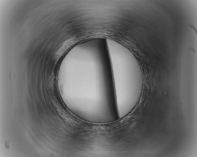 X0000101650242200807100946