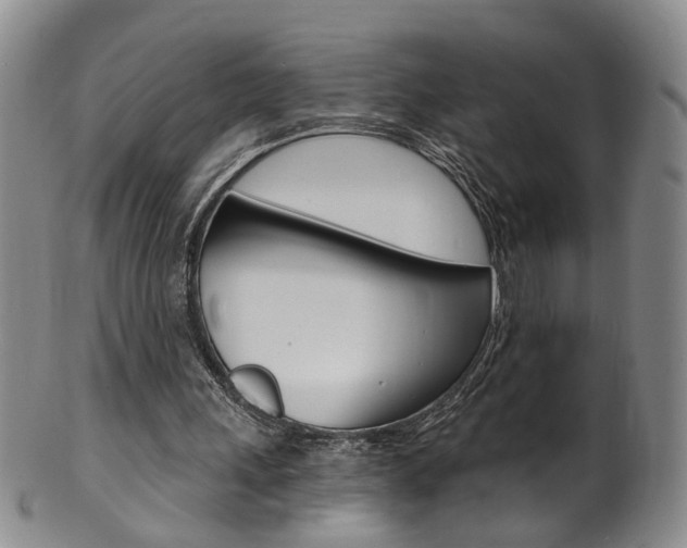 X0000101650243200807100946