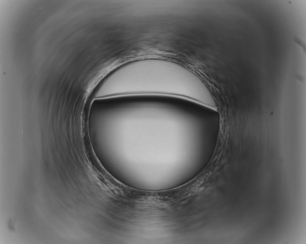 X0000101650244200807100946