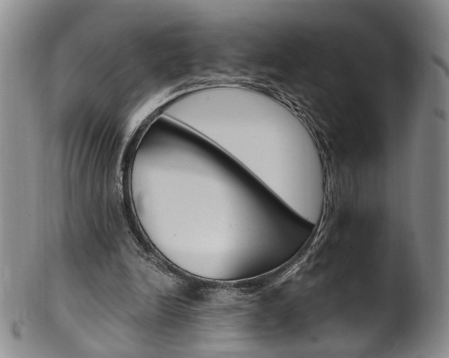 X0000101650246200807100946