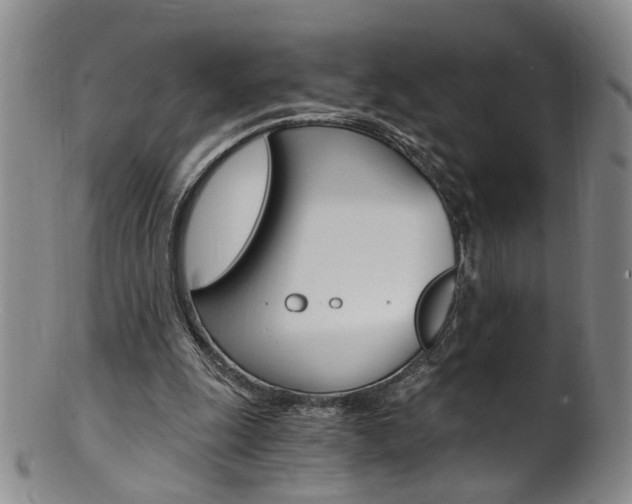 X0000101650247200807100947