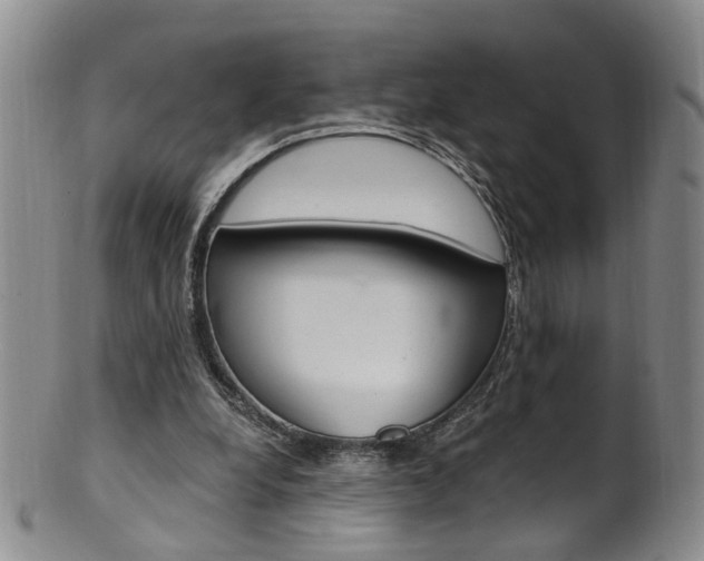 X0000101650248200807100947