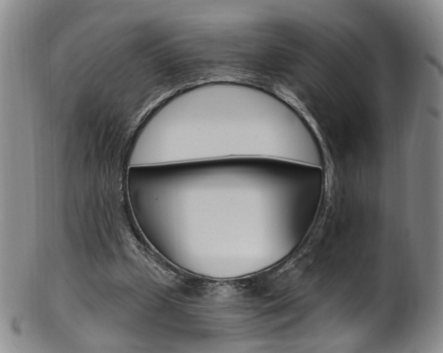 X0000101650249200807100947