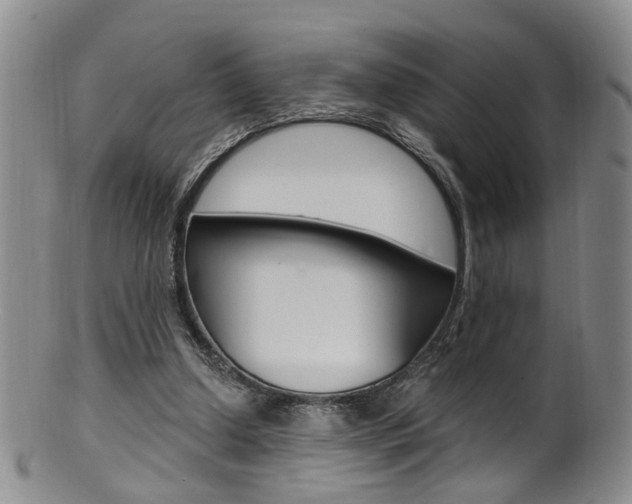 X0000101650250200807100947