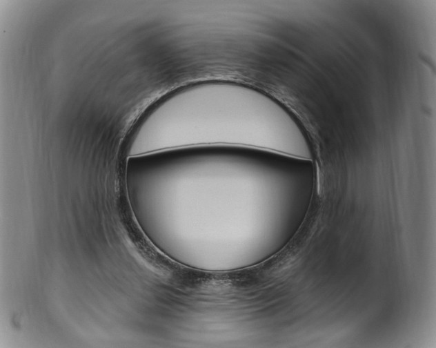 X0000101650252200807100947
