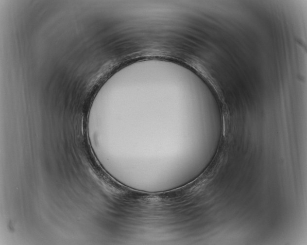 X0000101650253200807100947