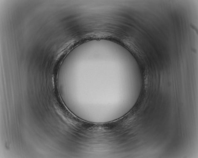 X0000101650254200807100947