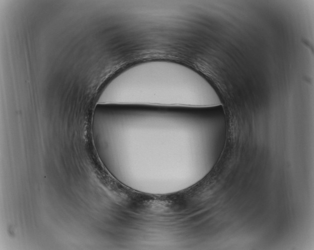 X0000101650255200807100947