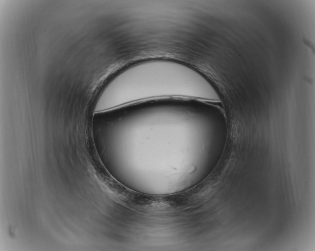 X0000101650256200807100947
