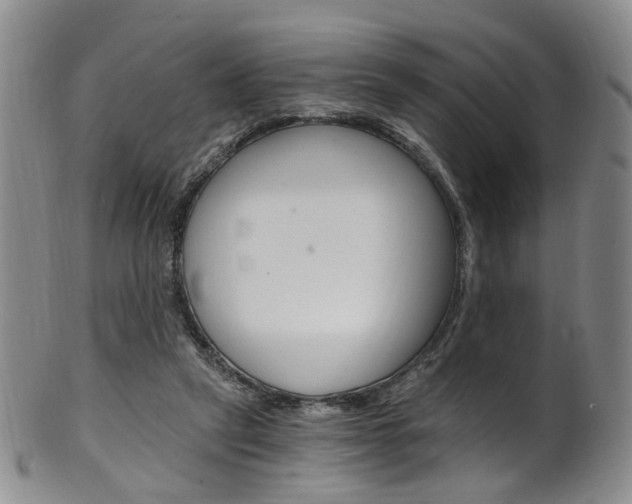 X0000101650257200807100947