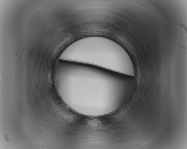 X0000101650258200807100947