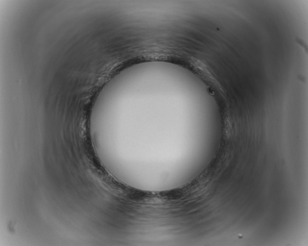 X0000101650259200807100947