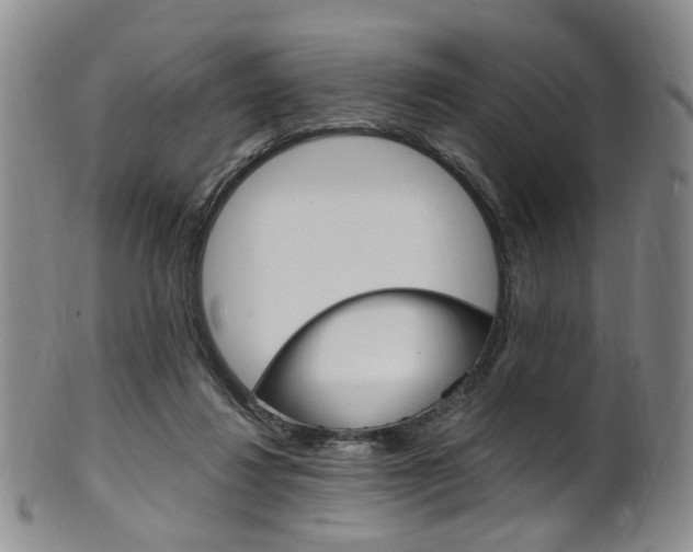 X0000101650260200807100947