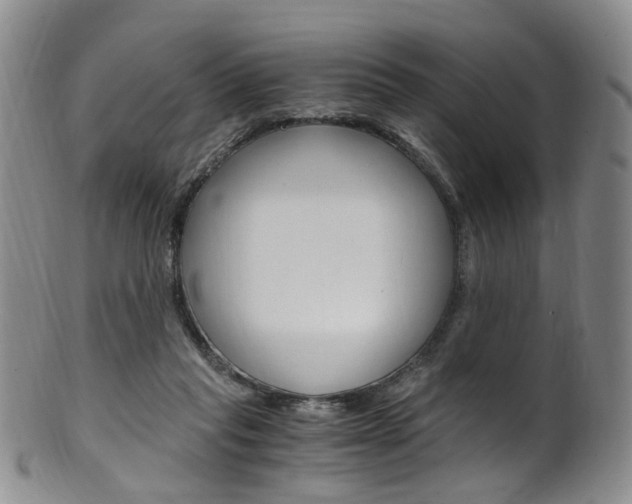 X0000101650261200807100947