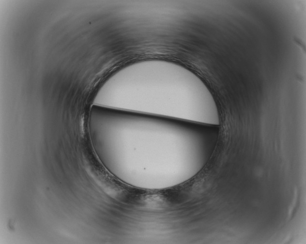 X0000101650262200807100947