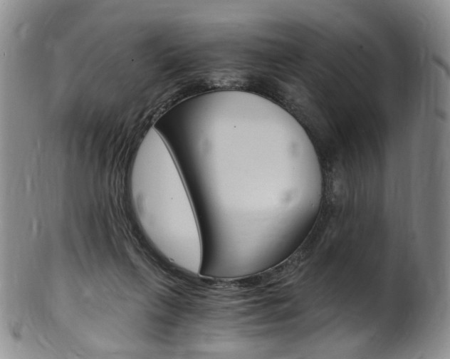 X0000101650263200807100947