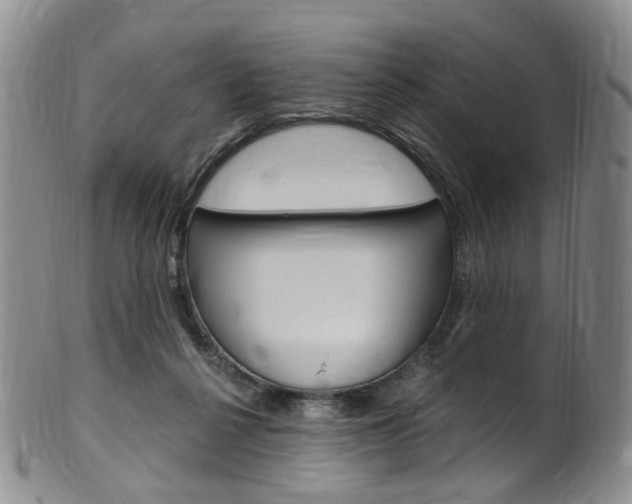 X0000101650264200807100947