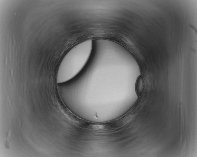 X0000101650265200807100947