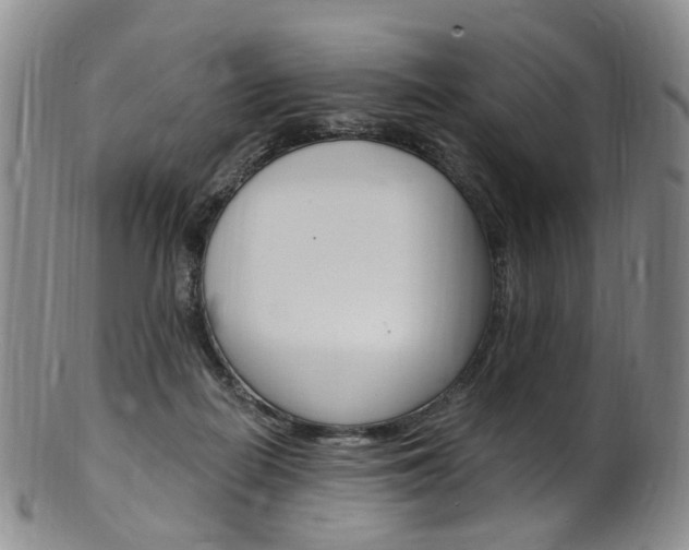 X0000101650266200807100947