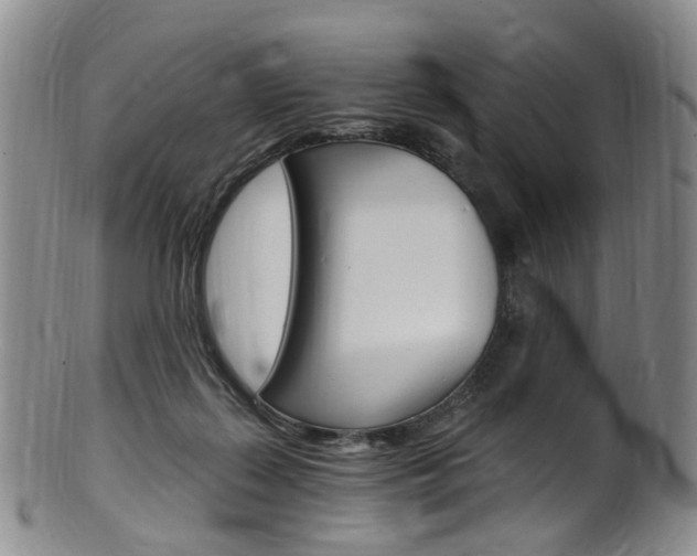 X0000101650267200807100947