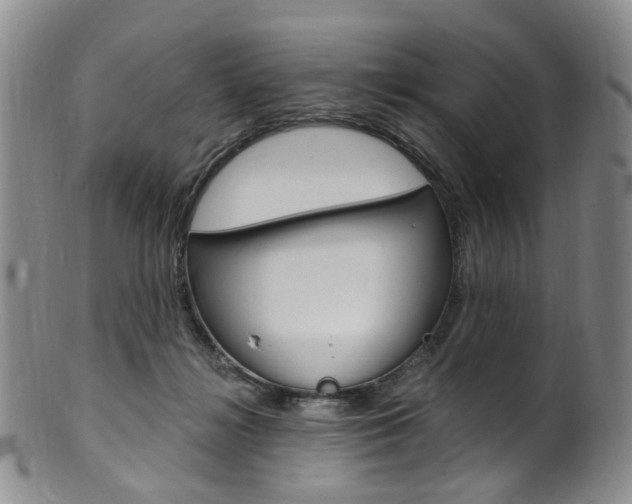 X0000101650268200807100947