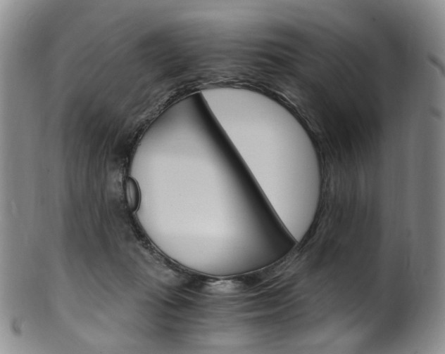 X0000101650269200807100947