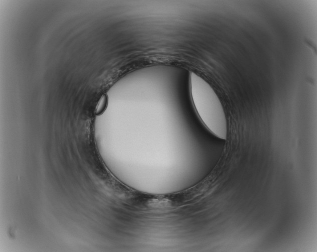 X0000101650271200807100947