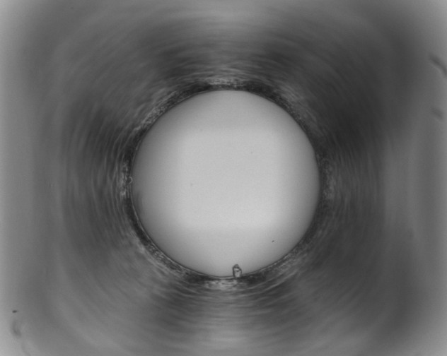 X0000101650273200807100947