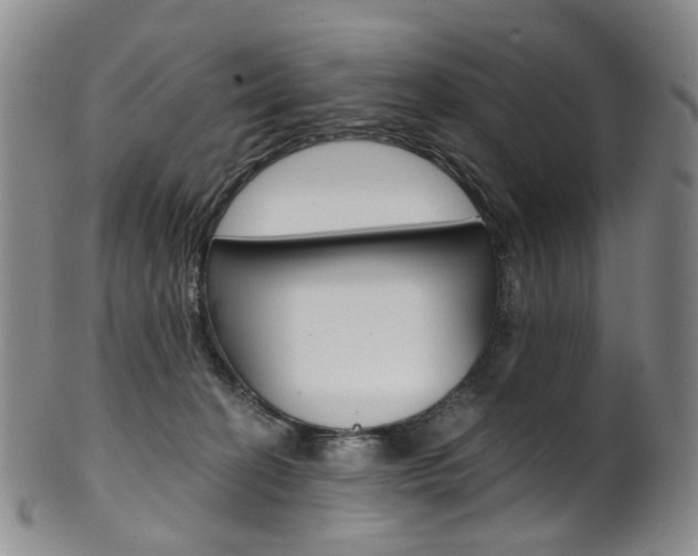 X0000101650274200807100947