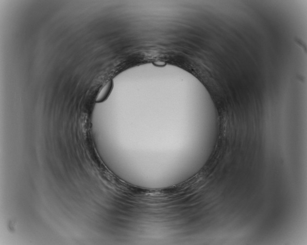 X0000101650275200807100947