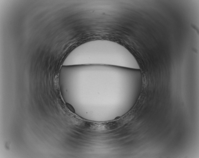 X0000101650276200807100947