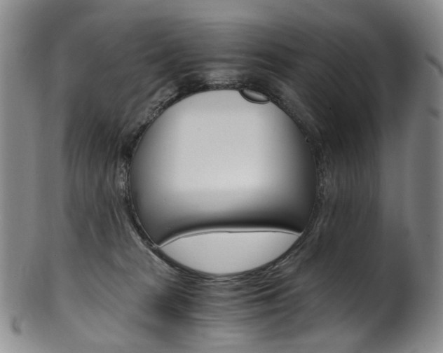 X0000101650277200807100947