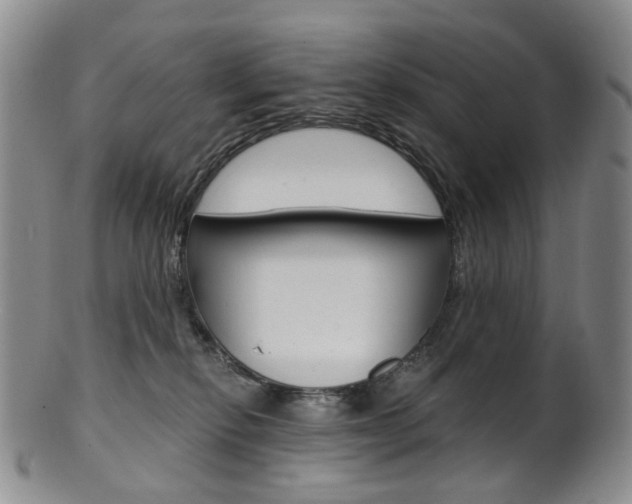 X0000101650278200807100947