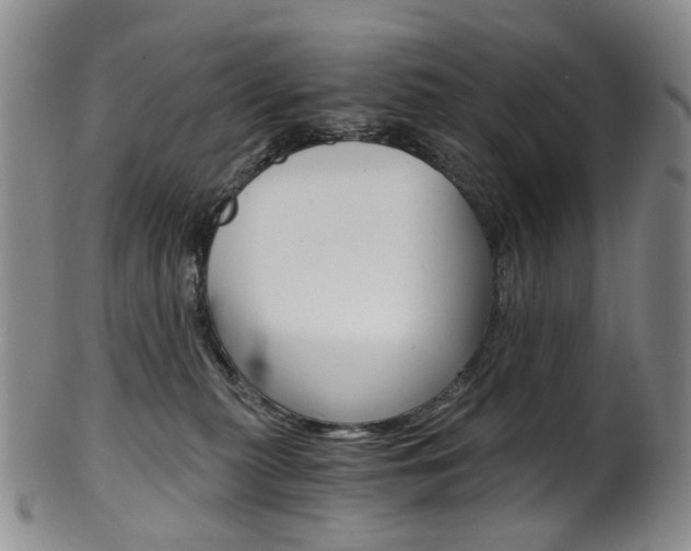 X0000101650279200807100947