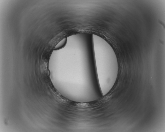 X0000101650281200807100947