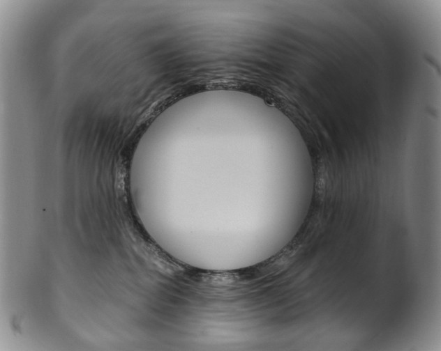 X0000101650282200807100947