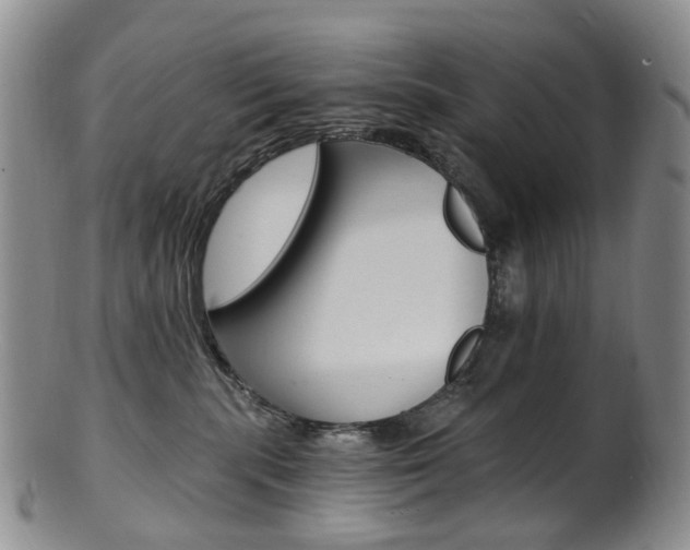 X0000101650283200807100947