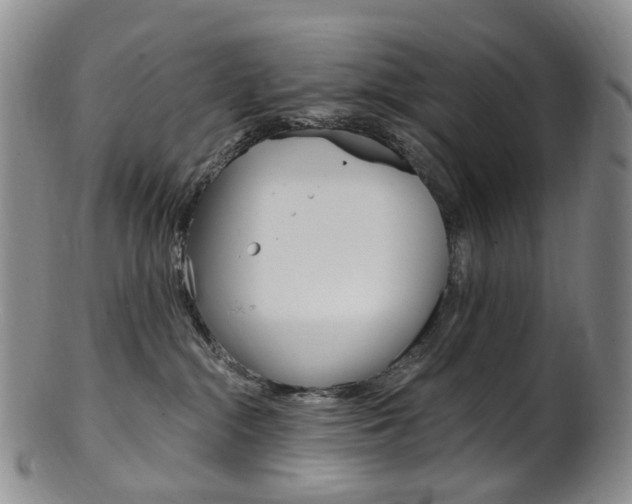 X0000101650284200807100947