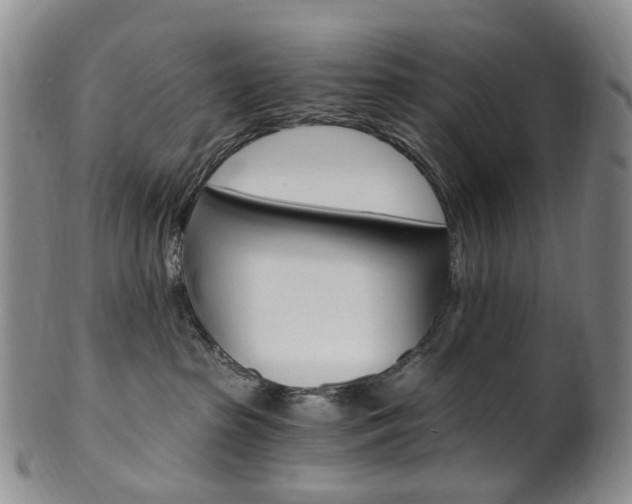 X0000101650285200807100947