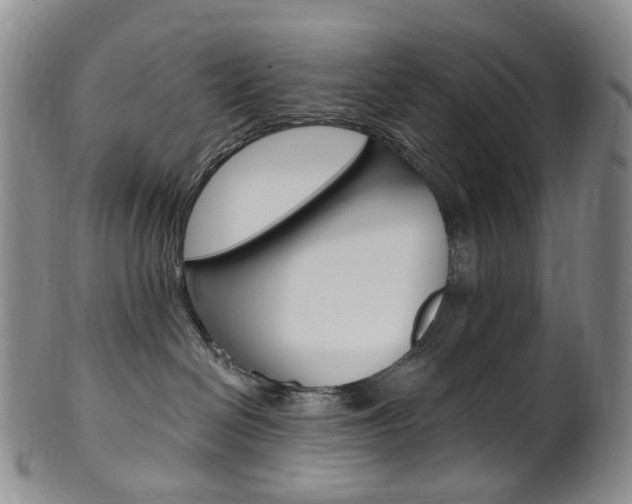 X0000101650286200807100947