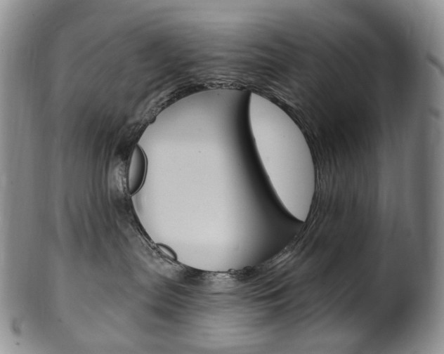 X0000101650287200807100947
