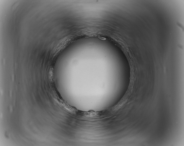 X0000101650288200807100947