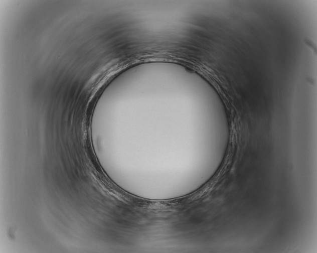 X0000101650290200807100946