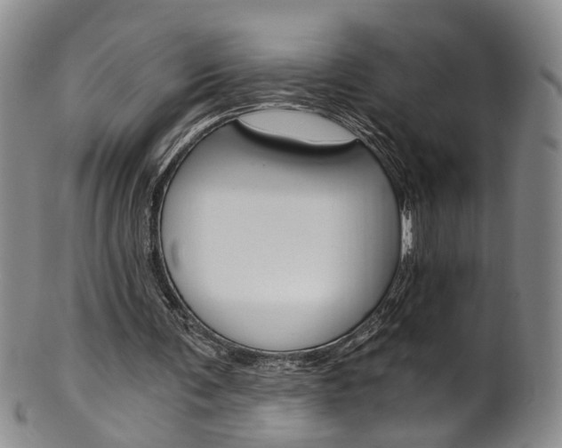 X0000101650291200807100946