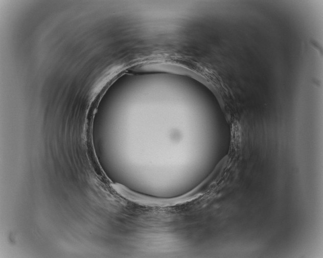 X0000101650292200807100946