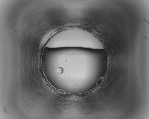 X0000101650293200807100946