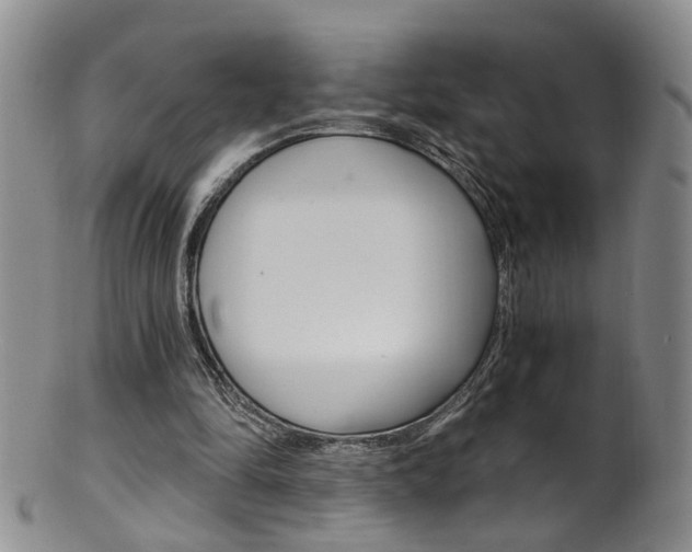 X0000101650294200807100946