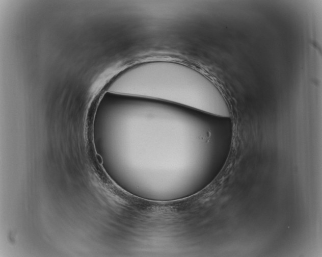 X0000101650296200807100946